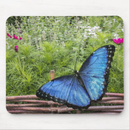 Blauwe Morpho Butterfly Rustiek Ontwerp Muismat