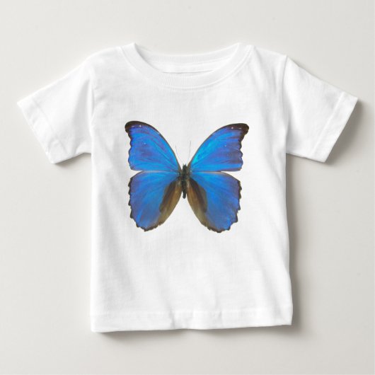 Blauwe Morpho-vlinder (Voorkant)