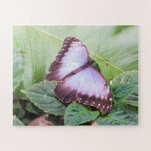 Blauwe morpho vlinder legpuzzel