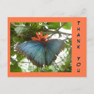 Blauwe Morpho Vlinder op Bloem Bedankt Ansichtkaar Briefkaart