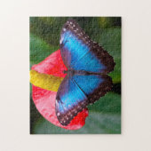 Blauwe Morphofalter Vlinder. Legpuzzel (Verticaal)