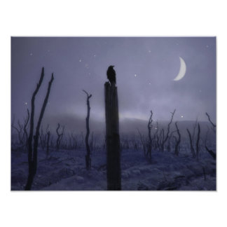 Blauwe mystieke nacht van de rij foto afdruk