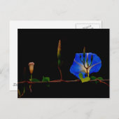 blauwe ochtendglorie briefkaart (Voorkant / Achterkant)