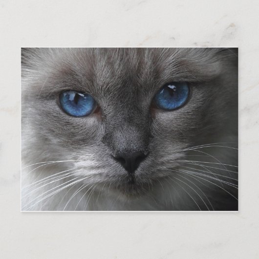 Blauwe ogen briefkaart (Voorkant)