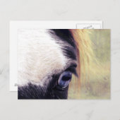 Blauwe ogen briefkaart (Voorkant / Achterkant)