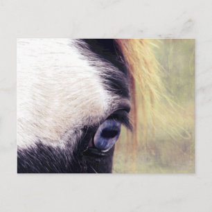 Blauwe ogen briefkaart