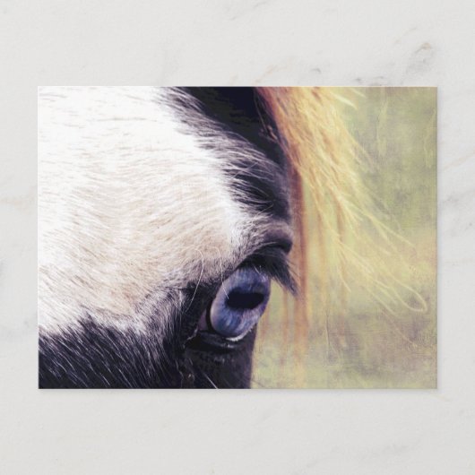 Blauwe ogen briefkaart (Voorkant)