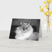 Blauwe ogen, kaart (Gele Bloem)