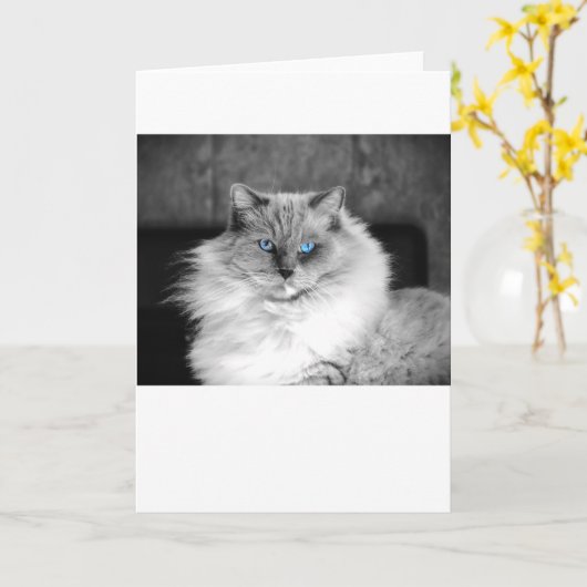 Blauwe ogen, kaart (Gele Bloem)