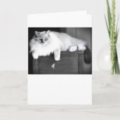 Blauwe ogen, kaart (Voorkant)