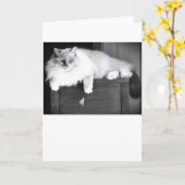 Blauwe ogen, kaart (Gele Bloem)