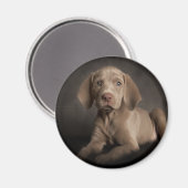 Blauwe ogen magneet (Voorkant / Achterkant)