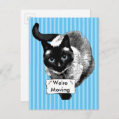Blauwe ogen Siamese kat met "We zijn bewegend teke Aankondigingskaart (Voorkant / Achterkant)