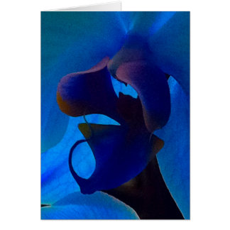 Blauwe orchidee