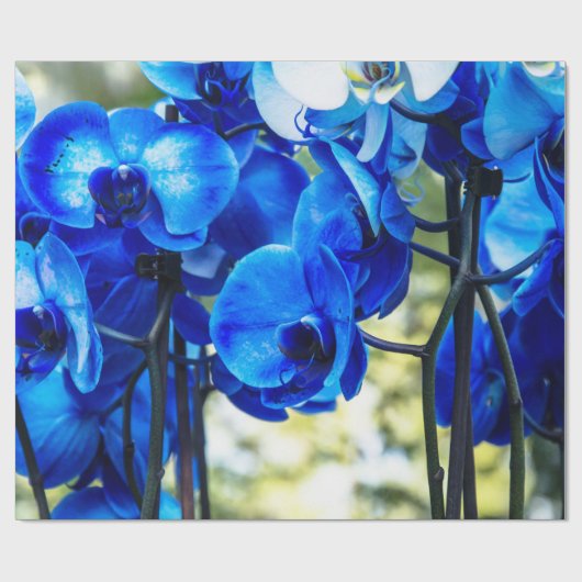 Blauwe orchidee cadeaupapier (Vlak)