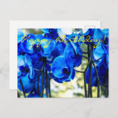 Blauwe orchideeën briefkaart (Voorkant / Achterkant)