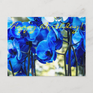 Blauwe orchideeën briefkaart