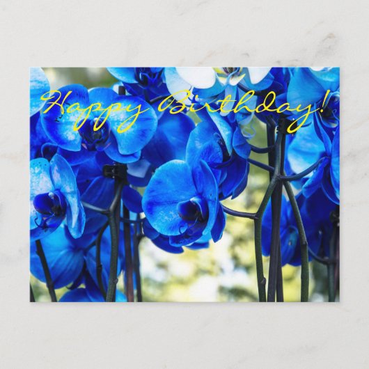 Blauwe orchideeën briefkaart (Voorkant)