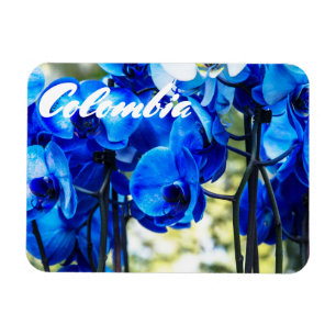 Blauwe orchideeën magneet