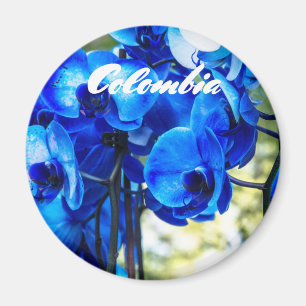 Blauwe orchideeën magneet