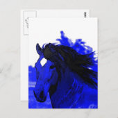 Blauwe paarden briefkaart (Voorkant / Achterkant)