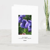 Blauwe Paarse Anemone Floral Fotografie GC Kaart (Achterkant)