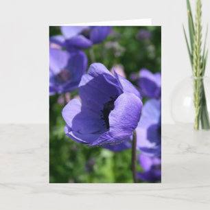 Blauwe Paarse Anemone Floral Fotografie GC Kaart