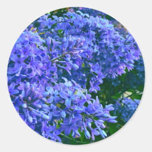 Blauwe paarse lilacs romantische blauwe foto ronde sticker