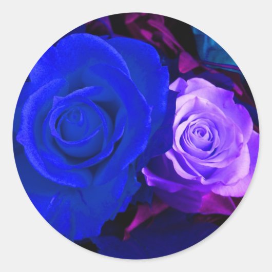 Blauwe Paarse Rozen Sticker -  (Voorkant)