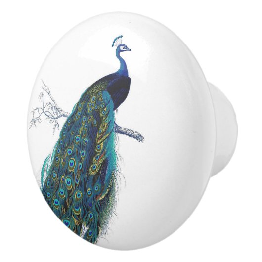 Blauwe pacock met prachtige staartwaren keramische knop (Rechts)