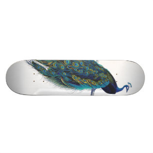 Blauwe pacock met prachtige staartwaren skateboard