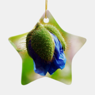 Blauwe papaver keramisch ornament