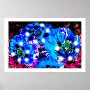 Blauwe papaver poster