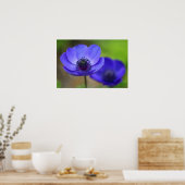 Blauwe papaverbloemen poster (Keuken)