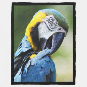 Blauwe papegaai fleece deken