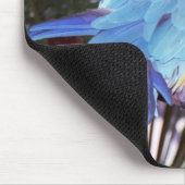 blauwe papegaai muismat (Hoek)