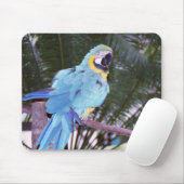 blauwe papegaai muismat (Met muis)