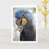 Blauwe Papegaai Portret Kaart (Gele Bloem)