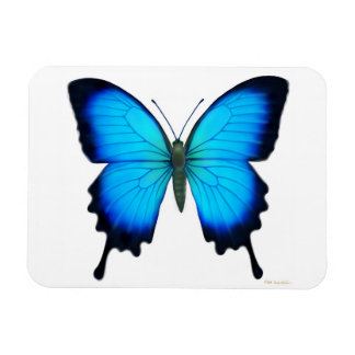 Blauwe Papilio Ulysses vlinder Premium magneet