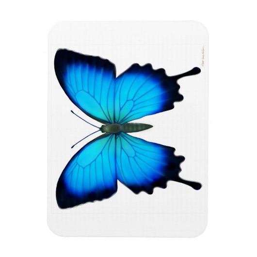Blauwe Papilio Ulysses vlinder Premium magneet (Verticaal)