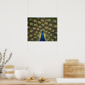 Blauwe Pauw Poster (Keuken)
