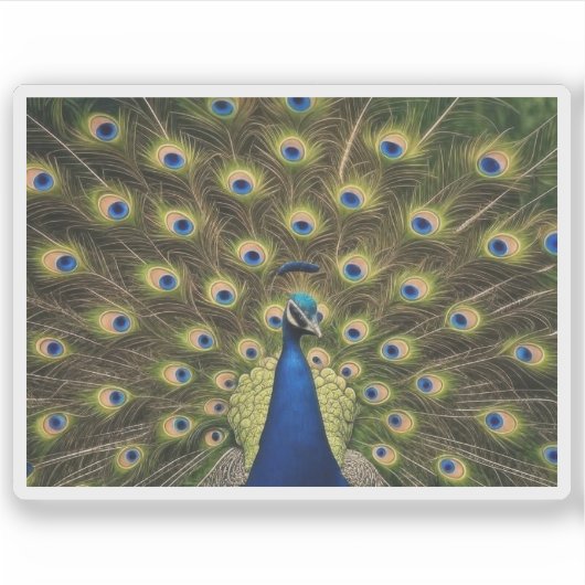 Blauwe Pauw Sticker (Voorkant)