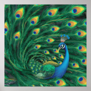 Blauwe Pauw Vogel Poster