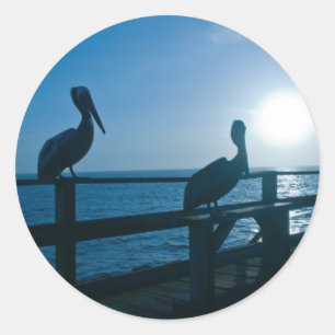 Blauwe Pelikaan/Sticker Ronde Sticker