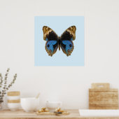Blauwe Penseelvlinder Poster (Keuken)
