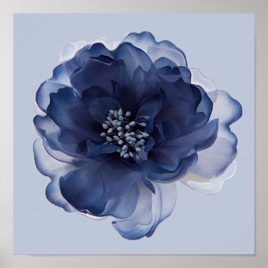 BLAUWE Pioen ROOS Poster (Voorkant)