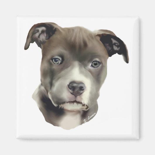 Blauwe Pitbull Magneet (Voorkant)