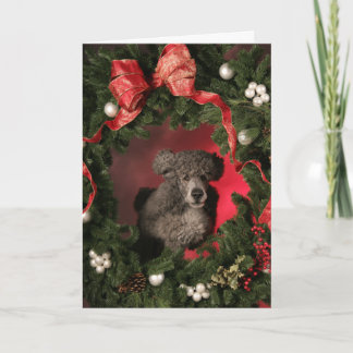Blauwe Poedel die door een Kroon van Kerstmis Feestdagen Kaart