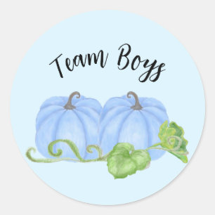 Blauwe pompoen tweeling gender onthullen Team Boys Ronde Sticker