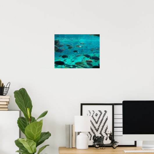 Blauwe pool van cichlids die rond het ontwerp zwem poster (Thuiskantoor)